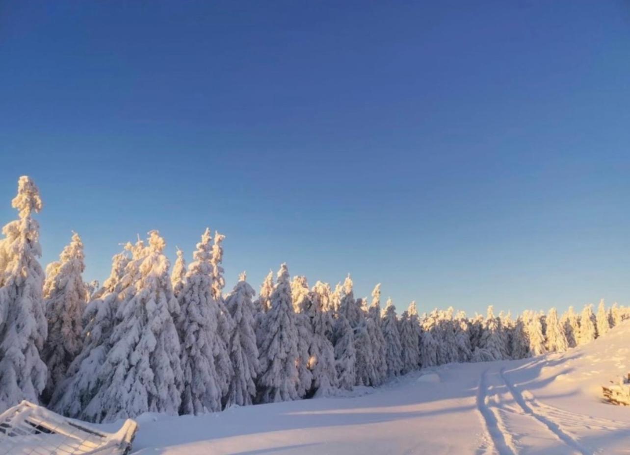 Ferienwohnung Tannhaeuser Braunlage Luaran gambar