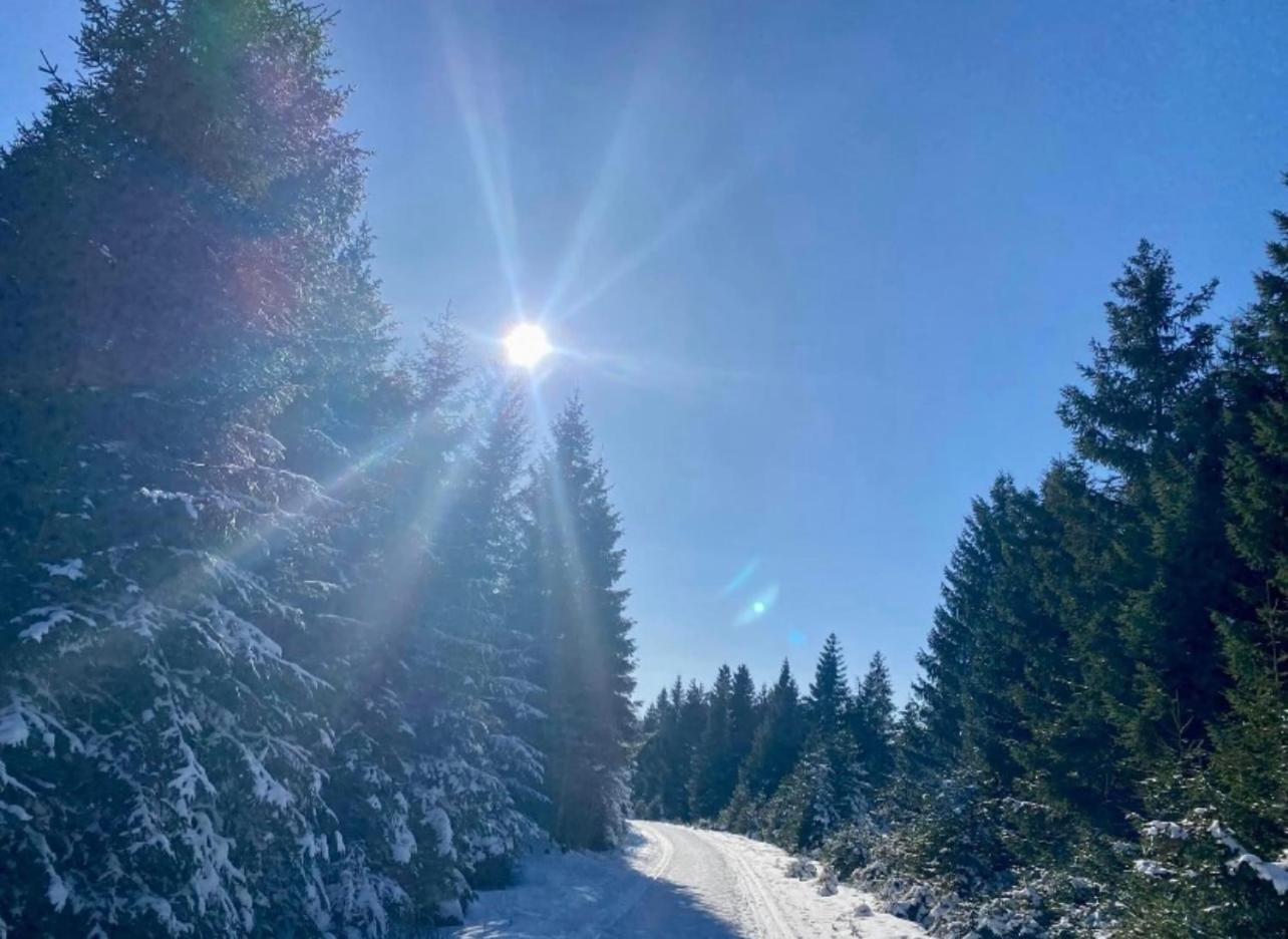 Ferienwohnung Tannhaeuser Braunlage Luaran gambar
